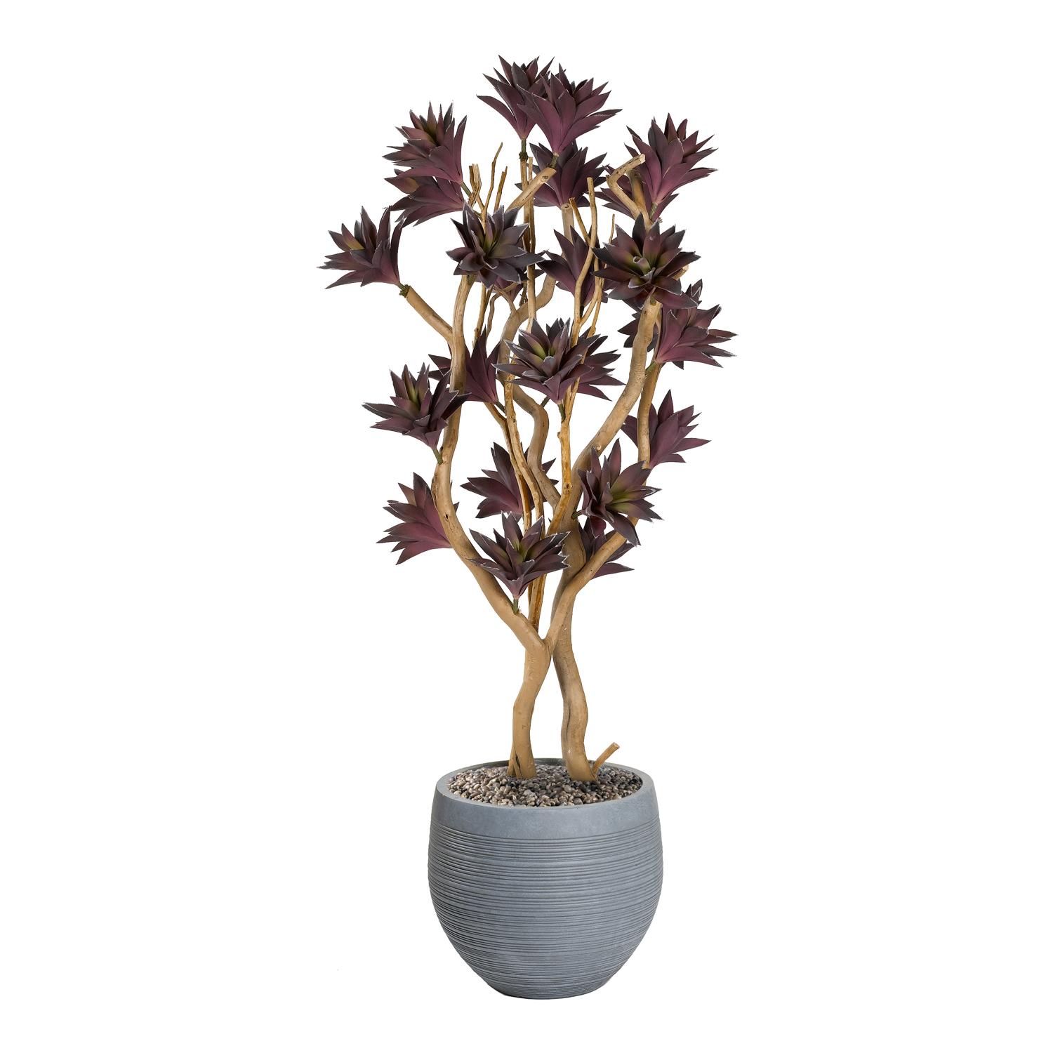 Frosted Purple Succulent Tree w/ Sandblasted Dragonwood in Riband Planter 7.5' - 324326