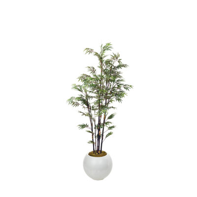 Black Bamboo Tree in Porter Planter 8' - 340-3104