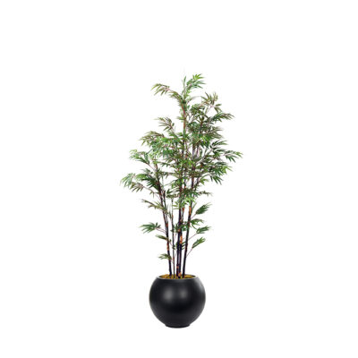 Black Bamboo Tree in Porter Planter 8' - 340-3106