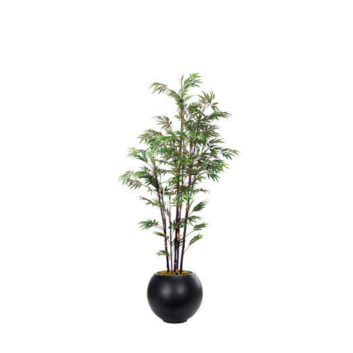 Black Bamboo Tree in Porter Planter 8' - 340-3106