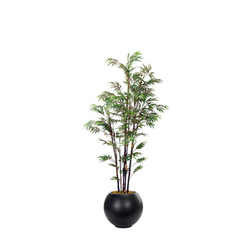 Black Bamboo Tree in Porter Planter 8' - 340-3106
