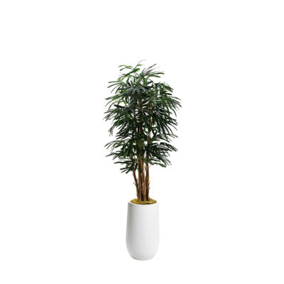 Lady Palm in Quinn Planter 7.5' - 695-2533