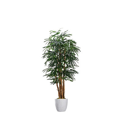 Lady Palm in Hudson Planter 7' - 695-2818