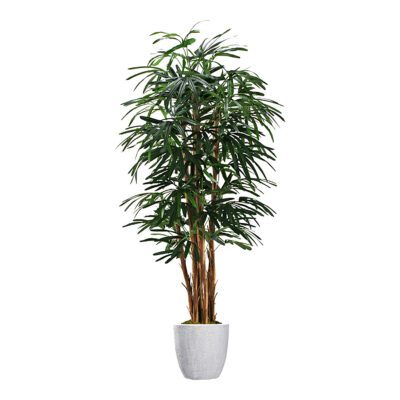 Lady Palm in Hudson Planter 7' - 695-2818