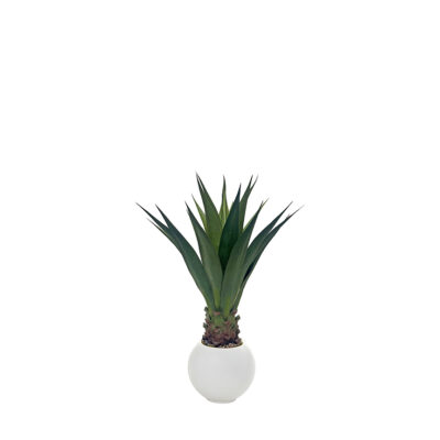 Agave Jumbo Plant in Porter Planter - 939-3103