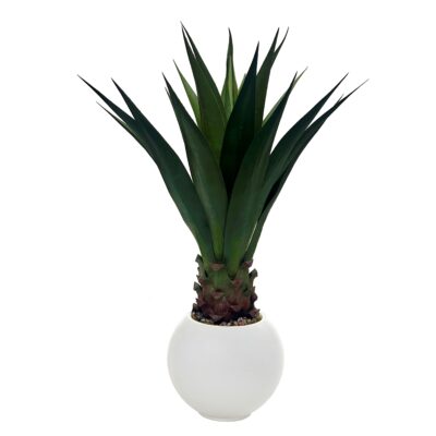 Small Jumbo Agave Plant in Small White Porter Planter - 939-3103