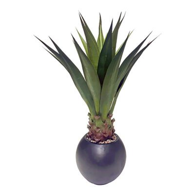 Agave Jumbo Plant in Porter Planter 3.1' - 939-3105