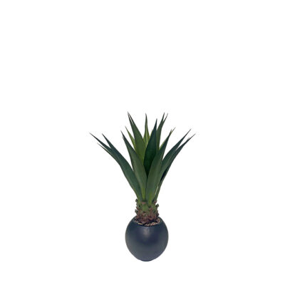 Agave Jumbo Plant in Porter Planter - 939-3105