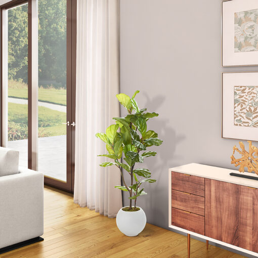 Fiddle Leaf Fig in Porter Planter 4.3' - 983-3103 - Image 2