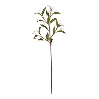 Cream Spike Flower - FL2375