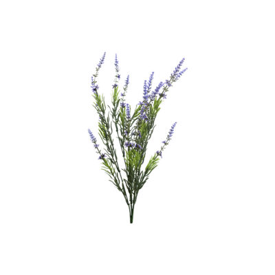 Lavender Bush - FL2482