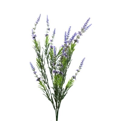 Lavender Bush - FL2482