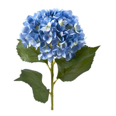 Blue Hydrangea Stem - FL2484