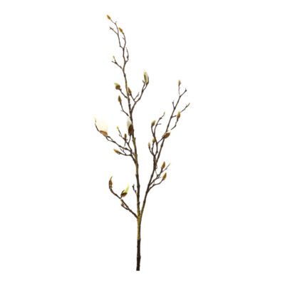 Budding Magnolia Branch - FL2497