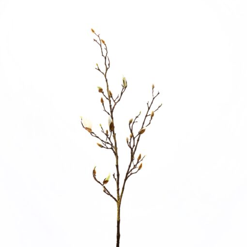 Budding Magnolia Branch - FL2497