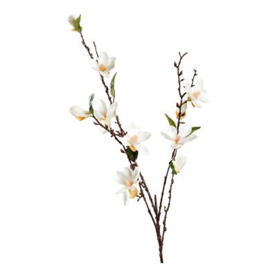 White Magnolia Stem - FL2556