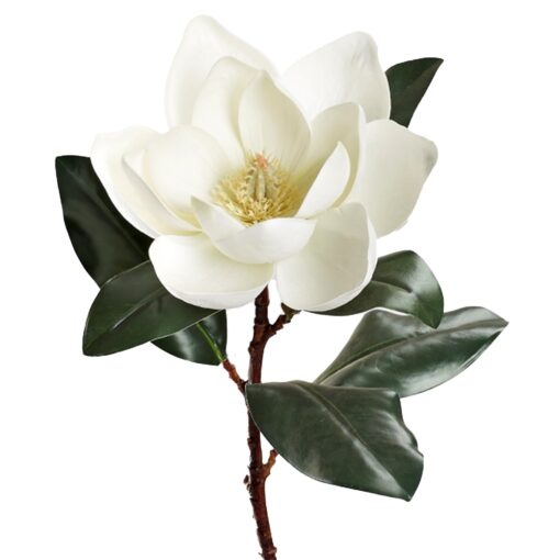 White Eva Single Magnolia Stem - FL2557