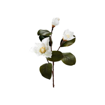 White Magnolia Branch with 3 Flowers - FL2559