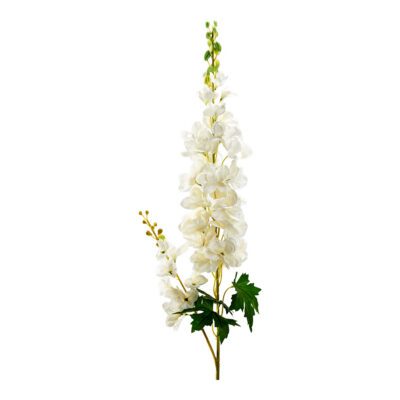 Cream Delphinium - FL2561