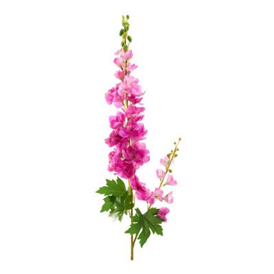 Purple/Pink Delphinium Orchids - FL2563