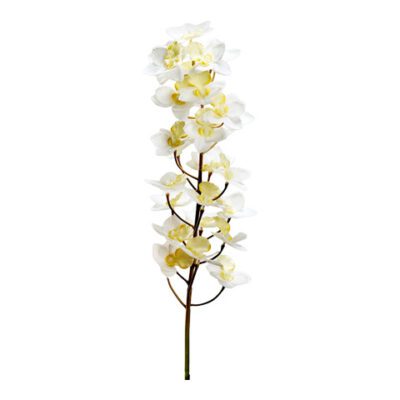 White Natural Touch Cattleya Orchid - FL2564