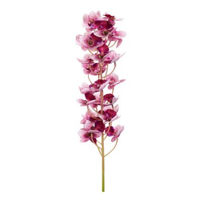 Plume Natural Touch Cattley - FL2565