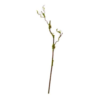 Twig Spray with Moss - GR1551