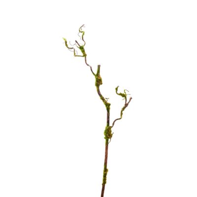Twig Spray with Moss - GR1551