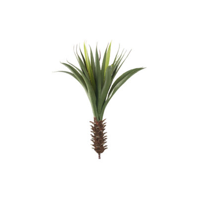 Small Yucca Plant - GR2067