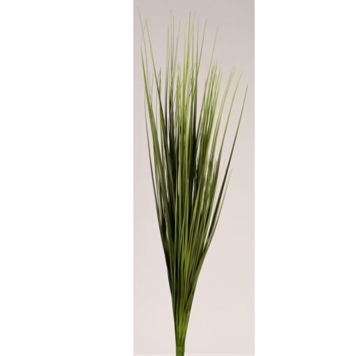 Two Tone Green Onion Grass - GR2160