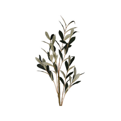 Olive Spray without Fruit - GR2184