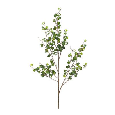 Ficus Benjamina Spray - GR2186
