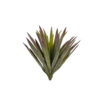 Agave Plant - TL1002