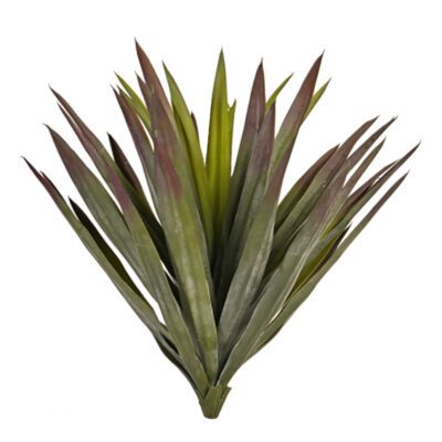 Agave Plant - TL1002