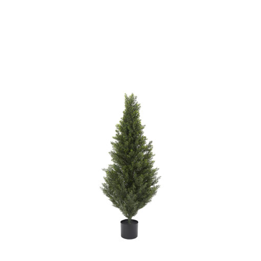 Cedar Topiary 4' - TL1016
