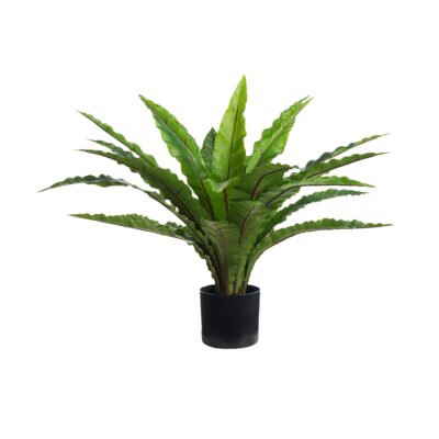 Nestle Leaf in Nursery Pot - TL1031
