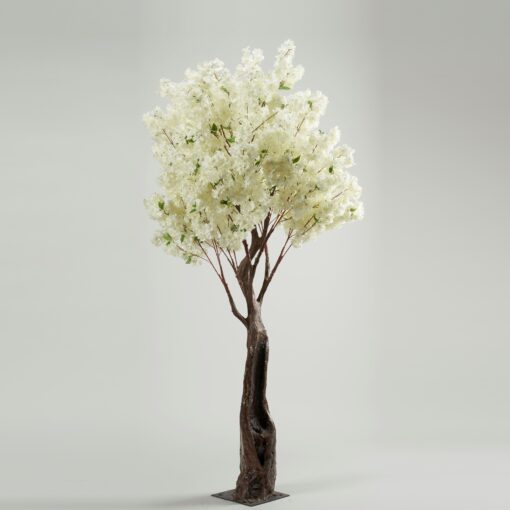 White Cherry Blossom Tree 8' - TL790