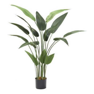 Traveler Palm 4.1' - TL975