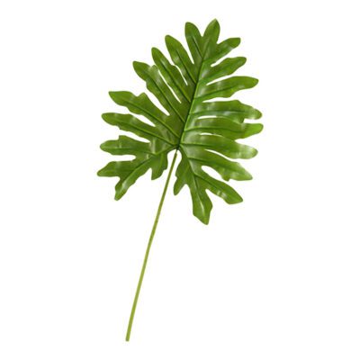 Medium Selloum Philo Leaf - GR1915