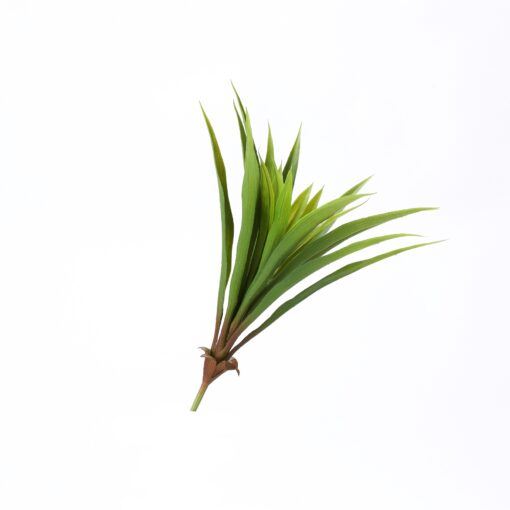 Green Lily Grass - GR2082