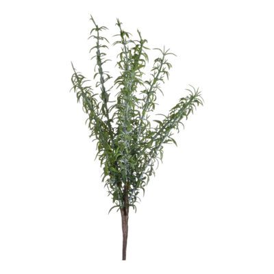 Rosemary Spray - GR2083