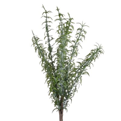Rosemary Spray - GR2083