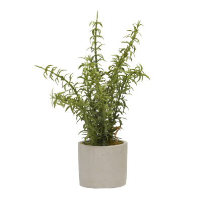Rosemary in Devon Vase - 179009-A