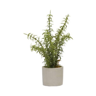 Rosemary in Devon Vase - 179009-A