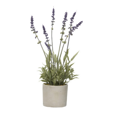 Lavender in Devon Vase - 179009-C