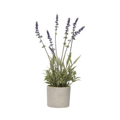 Lavender in Devon Vase - 179009-C