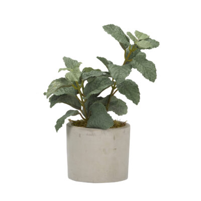 Green Mint in Devon Vase - 179009-D