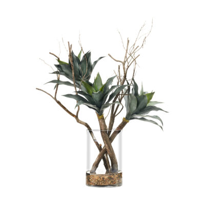 Agave Plant and Dragonwood in Large Glass Vase - 246030