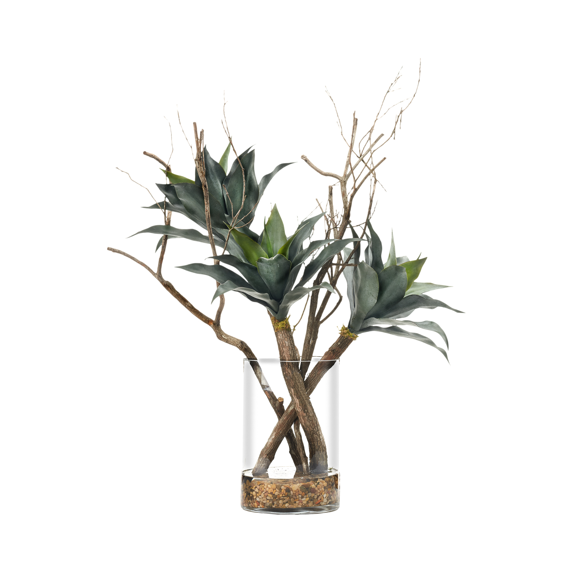 Agave Plant and Dragonwood in Large Glass Vase - 246030