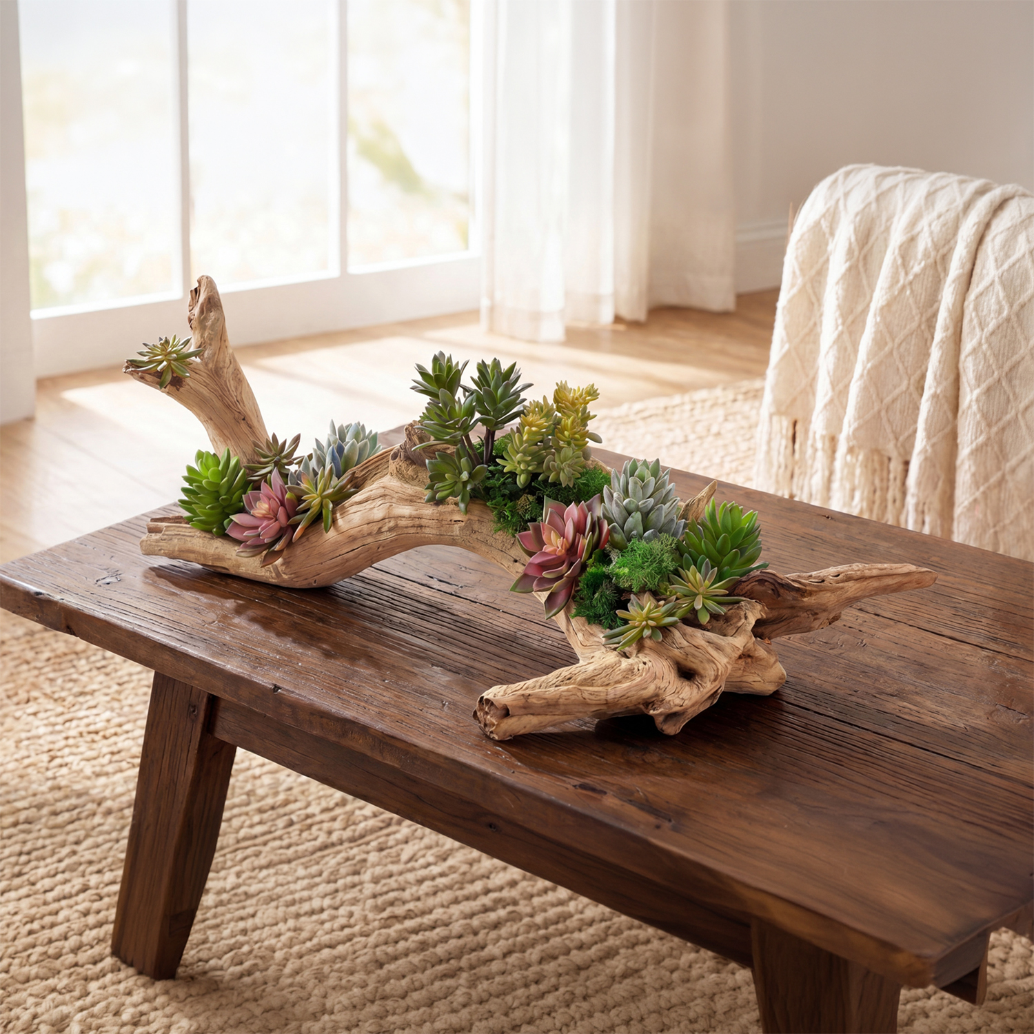 Assorted Succulents on Ghostwood Log - 249000 - Image 2